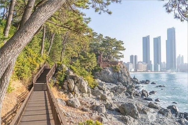 해파랑길 1코스. 사진=한국관광공사