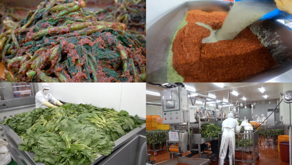 Kimchi production reaches full capacity during the summer season. Photo courtesy of EBS
