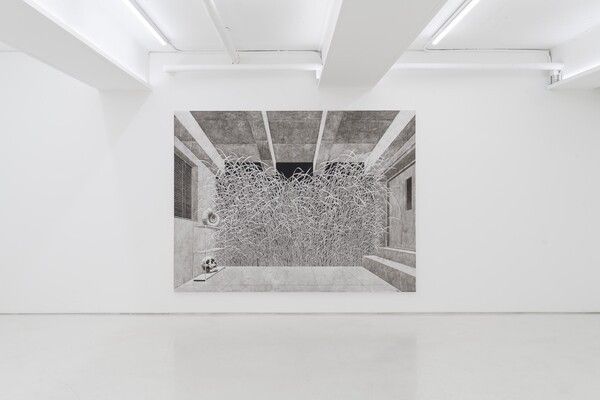 Photo: Works from Deokyoung Lee's solo exhibition 