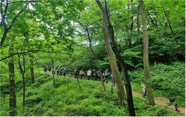 서울둘레길 19코스(북한산 성북)