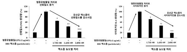 유산균 엑소좀의 산화질소 생성 억제, 유산균 엑소좀의 사이토카인 생성 억제. 사진=국립생물자원관