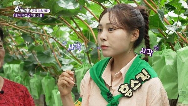 사진=6시 내고향