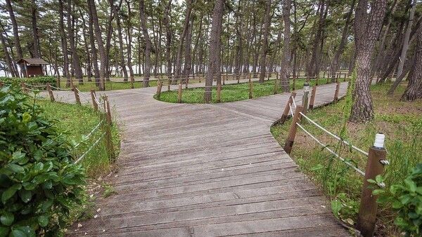 Haeparang Trail Course 40. Photo courtesy of Gangneung City