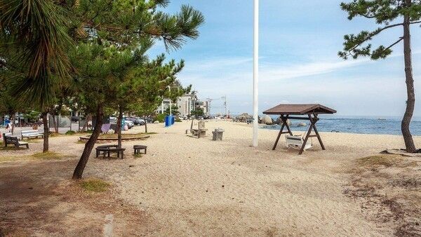 Haeparang Trail Course 40. Photo courtesy of Gangneung City