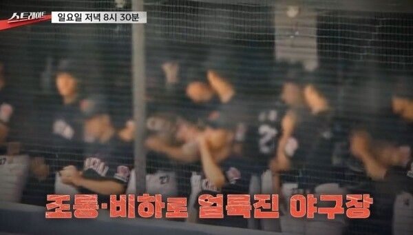 'Straight'. Photo courtesy of MBC
