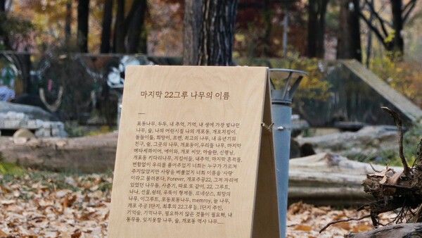 영화 '콘크리트 섬' 스틸. 사진=㈜영화사 진진