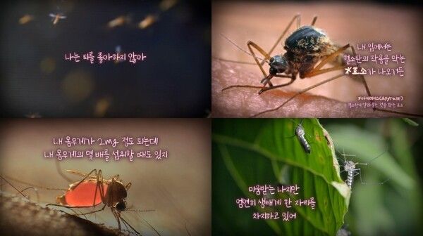 사진=지식채널e