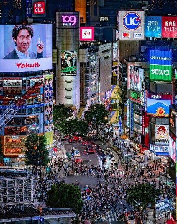 일본 도쿄 시부야 일대의 야경. 대형 전광판과 상업시설 사이로 보행자와 차량이 오가며 도심 관광지의 활기를 보여준다. 사진=일본정부관광국