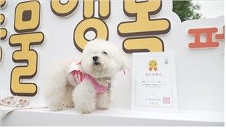 지난해 열렸던 ‘서울 동물행복(동행) 페스타’ 현장. 사진=서울시