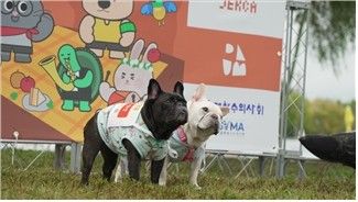 지난해 열렸던 ‘서울 동물행복(동행) 페스타’ 현장. 사진=서울시
