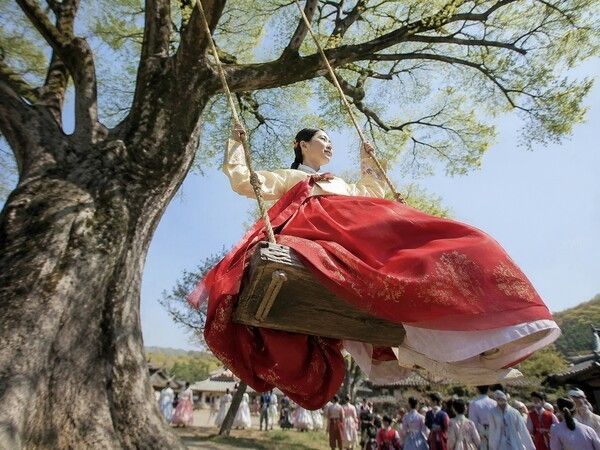 A Dano swing hangs from the thick branch of an old zelkova tree. The red skirt cutting through the air evokes the force and vitality of women breaking free from social restraints. Photo courtesy of AI-generated image