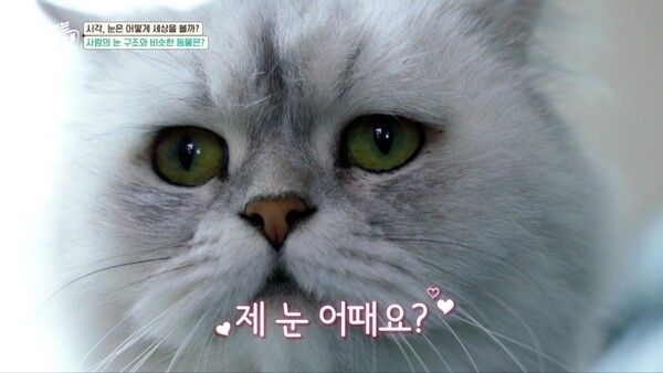 사진=취미는 과학