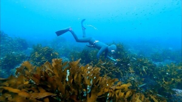 Photo courtesy of DOCU INSIGHT