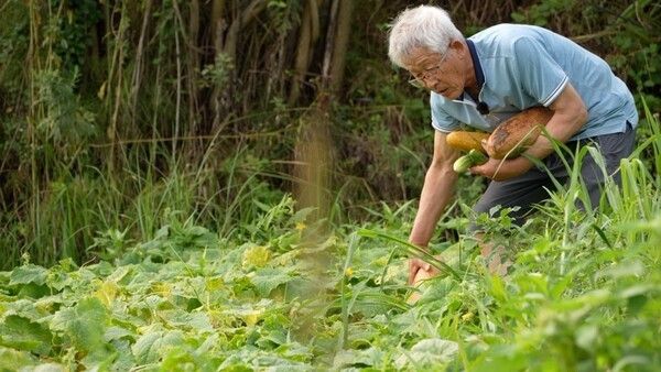 사진=한국기행