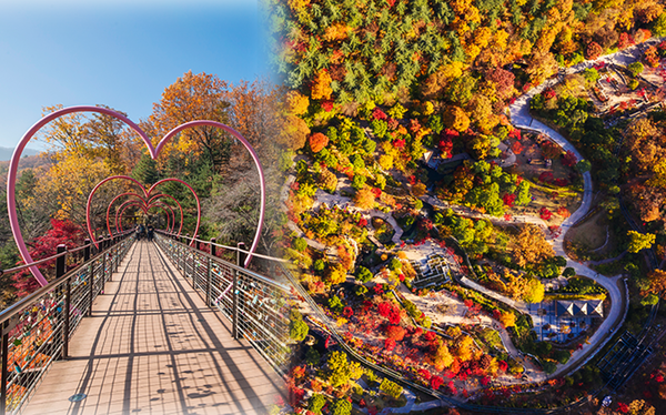 경기도 광주 화담숲 (사진출처=한국관광공사)