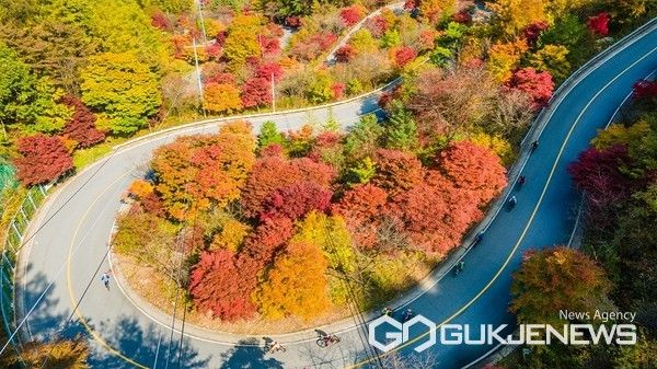 보발재 단풍 모습(사진=단양군)