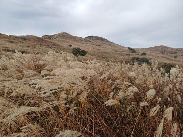 '2023 황매산 억새축제' / 합천군 제공