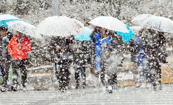 눈스케치 (국제뉴스DB)