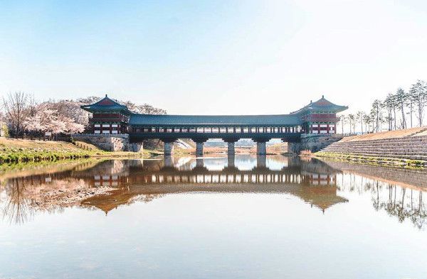 경주 벚꽃명소 월정교 (출처=한국관광공사)