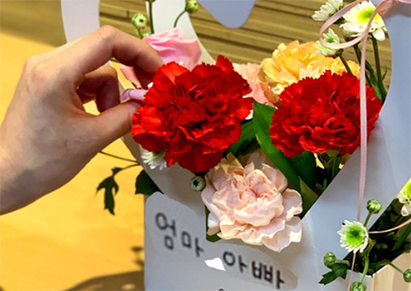 카네이션 (국제뉴스DB)