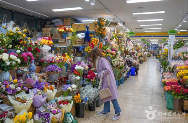 서초 양재꽃시장, 지하꽃시장 (사진출처=한국관광공사)