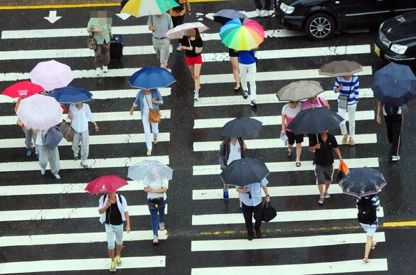 여름 더위 날씨 태풍 비 비스케치 비소식 빗방울