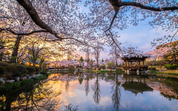 경주 보문정 (사진출처=한국관광공사)