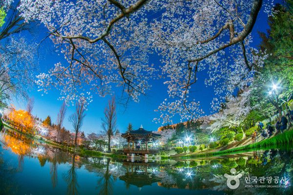 경주 보문정 야경 (사진출처=한국관광공사)