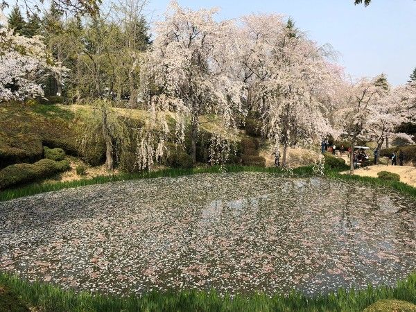 경주 보문정 (사진출처=한국관광공사)
