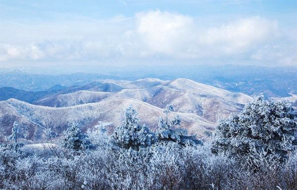 강원도 평창 발왕산 상고대 눈꽃세상 눈스케치 (사진출처=한국관광공사)