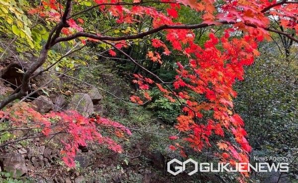 익어가는 설악산의 가을 풍경. (사진 = 한국의 산 캡처)