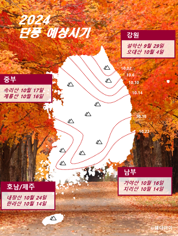2024년 단풍 예상 절정시기와 명소 / 웨더아이 제공&nbsp;