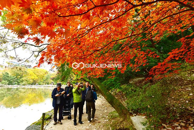 10월의 가을 단풍 절정, 고궁에서 힐링과 소통 즐겨요 (사진=안희영 기자)