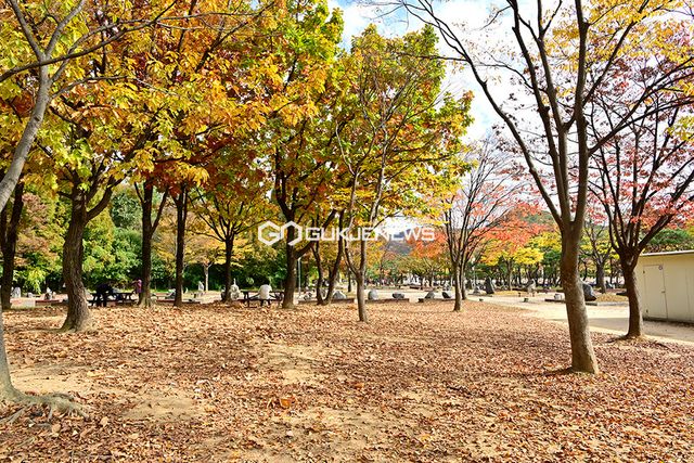 인천대공원 정문 진입광장 개선공사 마무리 작업 속에 가을 풍광과 낭만 안겨줘 (사진=안희영 기자)