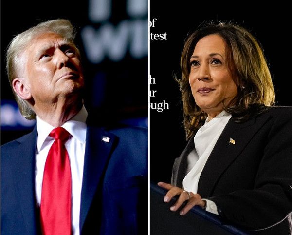 트럼프, 해리스 (사진=트럼프 인스타, 해리스 인스타)
