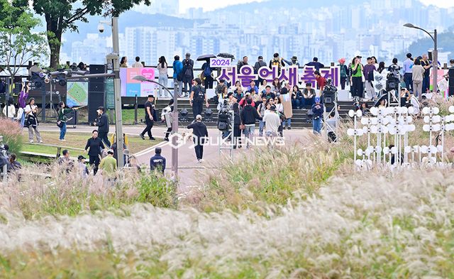 23회 서울억새축제 ‘억새, 바람을 품다’ 시민들의 발길 이어져 (사진=안희영 기자)