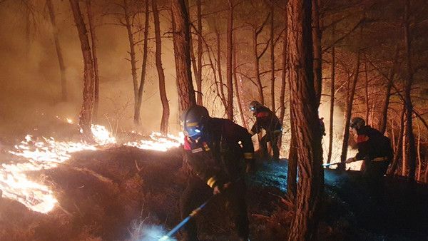 산불 (사진출처=산림청)