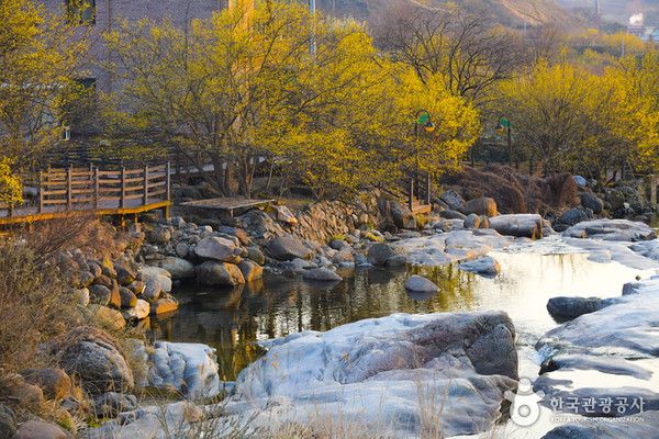 구례 산수유꽃축제 (사진출처=한국관광공사)