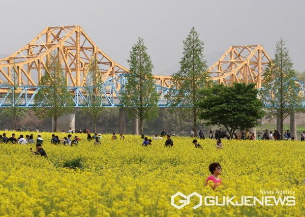 (창녕/국제뉴스) 제18회 창녕 낙동강유채축제 모습. (사진/홍성만 기자)