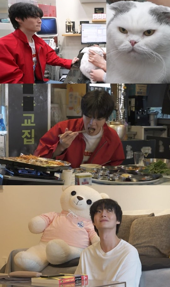 나 혼자 산다 (사진=MBC)