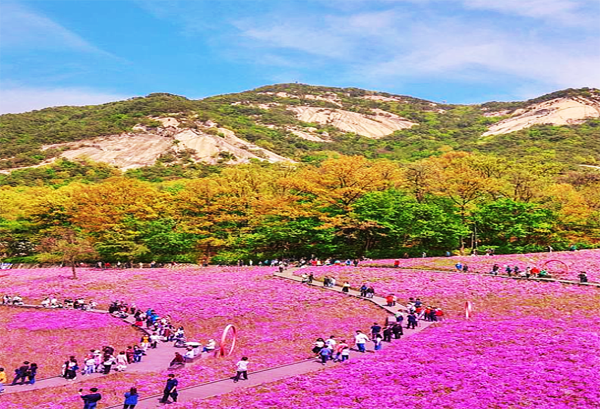 서울 불암산 철쭉제 축제 (사진출처=한국관광공사)