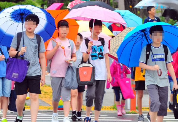 봄비스케치, 비스케치, 여름, 장마기간, 날씨스케치 (국제뉴스DB)