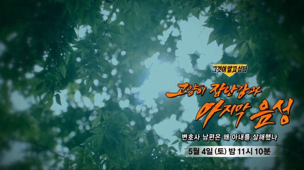 SBS시사프로그램 '그것이 알고싶다' (사진=SBS그것이알고싶다)