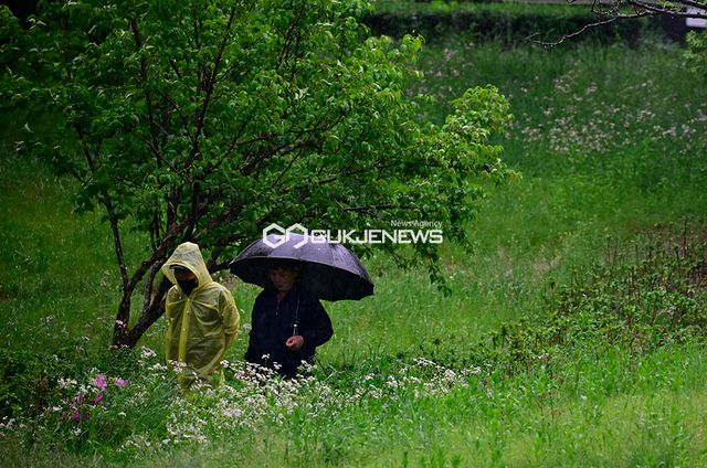 절기 입하, 여름비 내리는 휴일 풍경 (사진=안희영 기자)