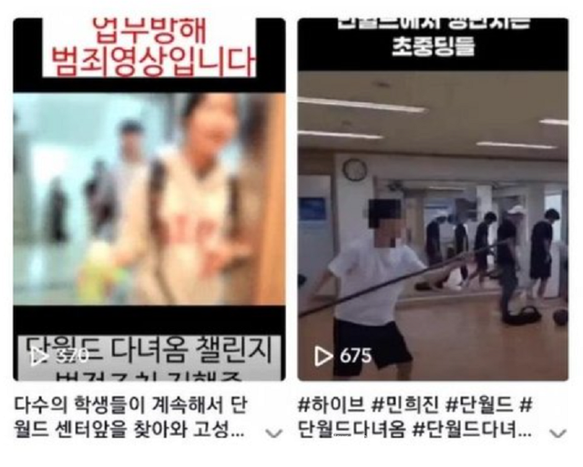 SNS에 게재되는 단월드 챌린지 영상(사진=틱톡, 인스타그램 캡쳐)