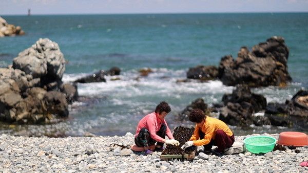 이만기 울산 (사진=KBS1 '동네 한 바퀴' 방송)