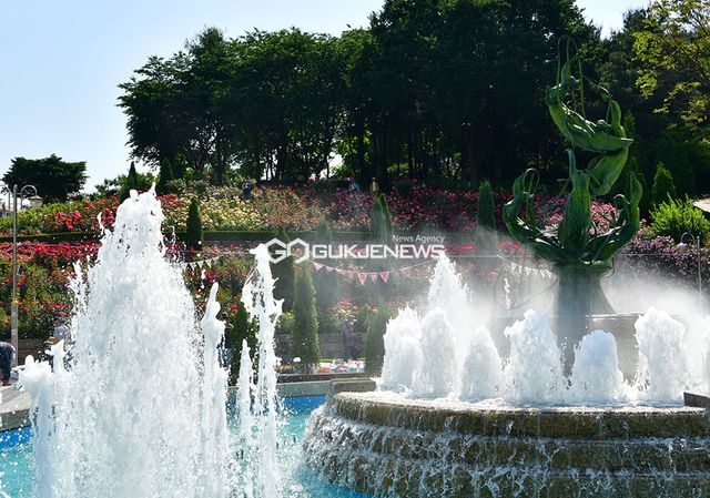 백만송이장미원 '로즈풀(Rose Full) 세레머니' (사진=국제뉴스DB)