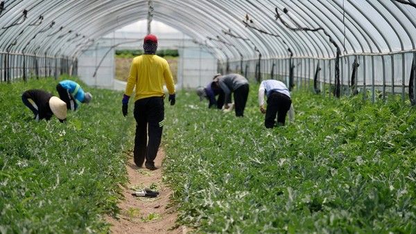 추적 60분 (사진=KBS1)