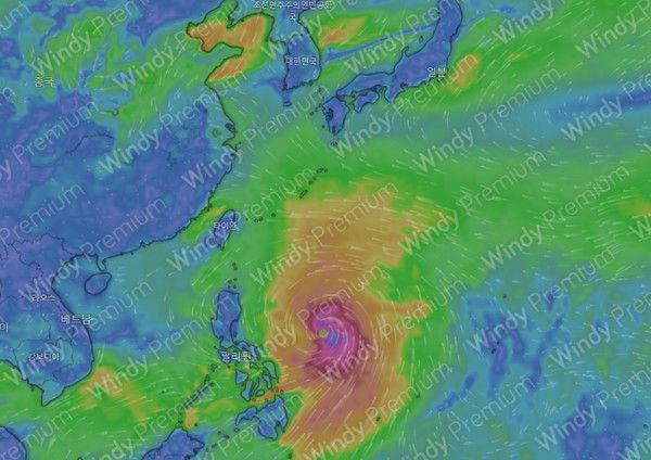다음주날씨, 열대저압부 발달하면 12호 태풍 리피 발생확률 (사진=윈디닷컴)