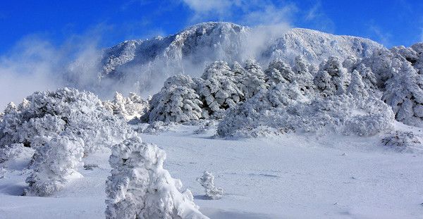 제주도 한라산 눈꽃세상 상고대, 눈스케치, 추위 (사진출처=한국관광공사, 제주관광공사)